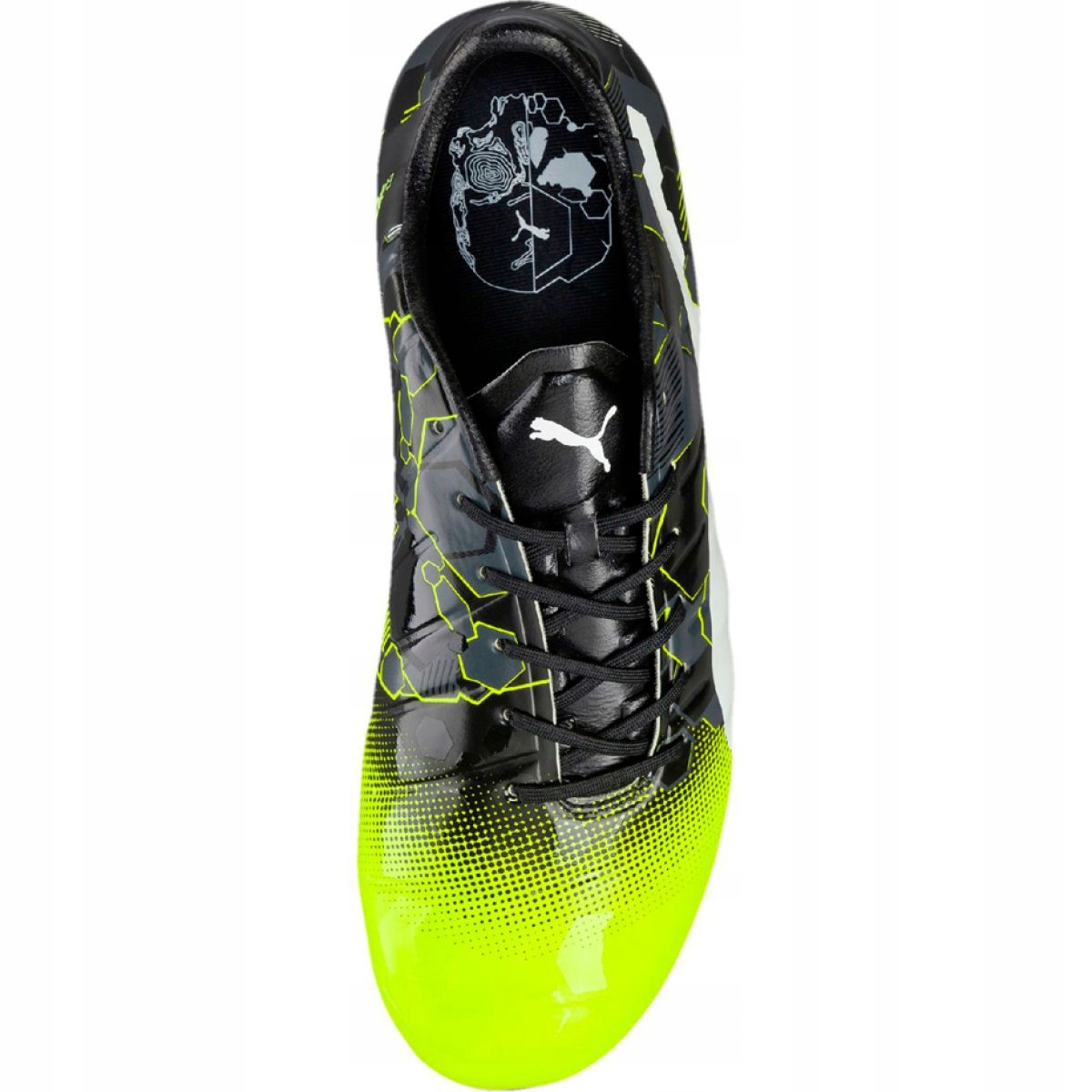 Football boots Puma evoPOWER 1.3 Graphic Fg M 103769 01