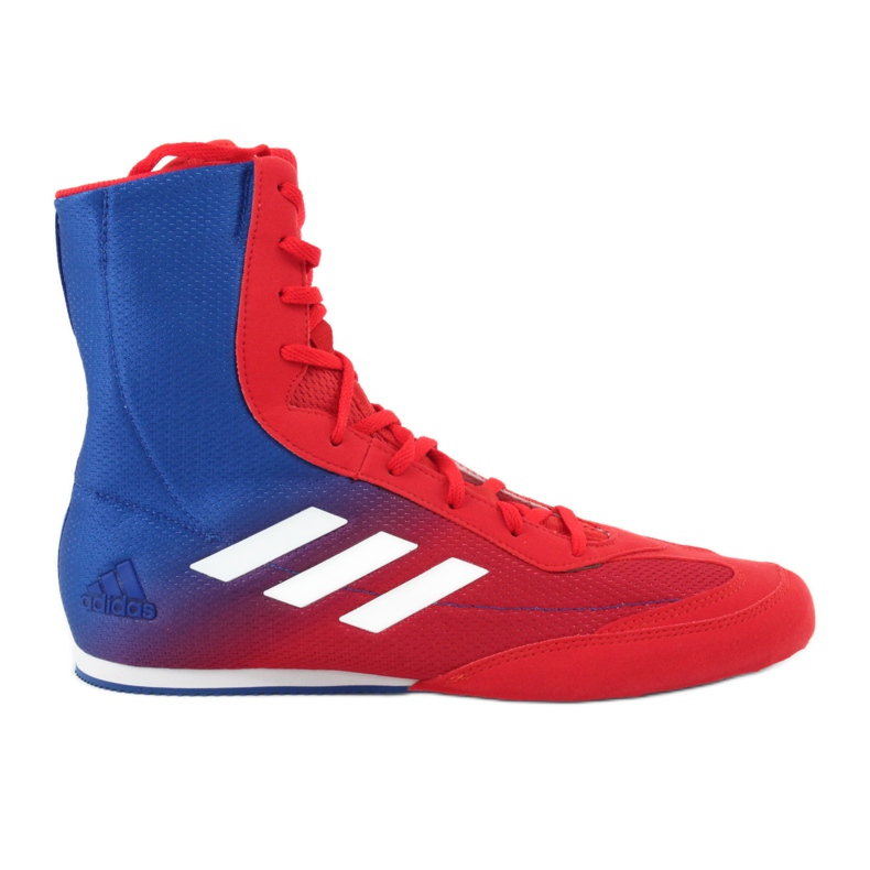 Boxing shoes adidas Box Hog Plus blue red