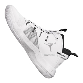 Nike Jordan Jumpman 2020 M BQ3449-102 white white 5