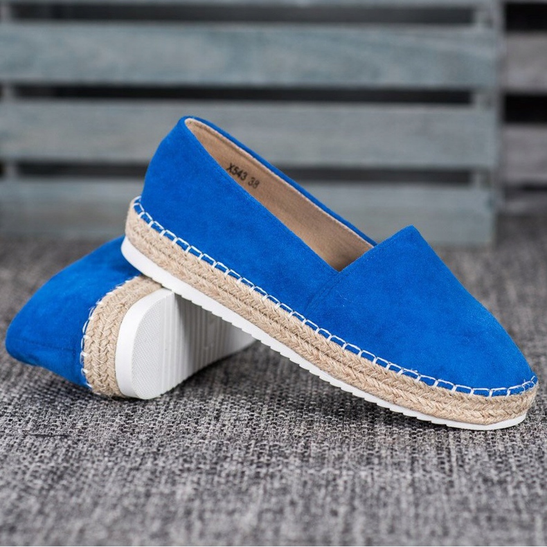 Small Swan Blue Suede Espadrilles 2