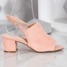 Small Swan Powder Shoes On A Bar pink 1