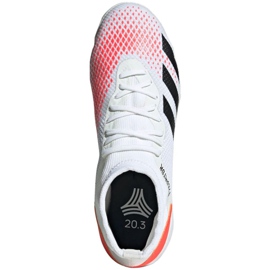 Indoor shoes adidas Predator 20.3 In M EG0916 white 1