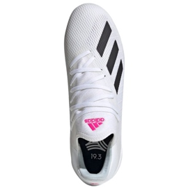 Indoor shoes adidas X 19.3 In M EG7153 multicolored white 1