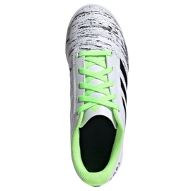 Indoor shoes adidas Copa 20.4 In Jr EF1927 multicolored white 1