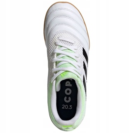 Indoor shoes adidas Copa 20.3 In Sala Jr EF1916 multicolored white 1