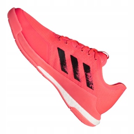 Adidas Crazyflight Tokyo M FX1764 volleyball shoes multicolored pink 1
