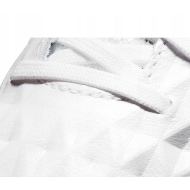 Nike Legend 8 Elite Fg M AT5293-163 football boots multicolored white 2