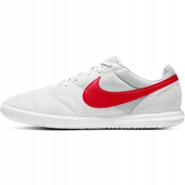 Nike Premier Ii Sala Ic AV3153 160 soccer shoes grey white 1