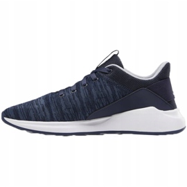 Men's shoes Reebok Ever Road Dm X navy blue DV5827 1