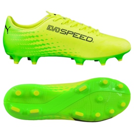 Football boots Puma Evo Speed ​​17.4 Fg yellow-green 104017 01 multicolored 1