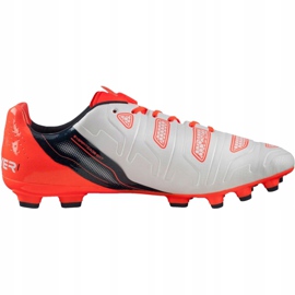 Puma Evo Power 1.2 Ag 103213 05 football boots grey 1