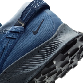 Running shoes Nike Pegasus Trail 2 Gtx M CU2016-400 blue 1