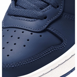 Nike Court Borough Low 2 (GS) Jr BQ5448-401 shoes beige navy blue 1