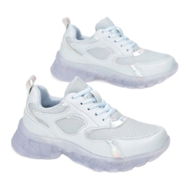 Vices 8553-51-blue 1