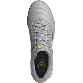 Adidas Copa 20.3 In EF8335 football boots grey 1