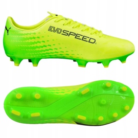 Football boots Puma Evo Speed ​​17.4 Fg M 104017 01 green 2