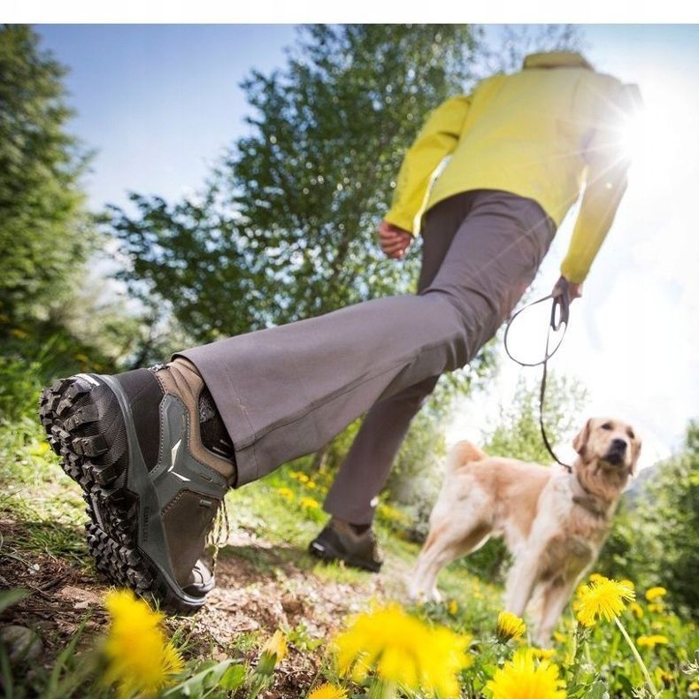 Salewa Wander Hiker Gtx W 63461 2460 shoes grey 1