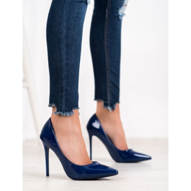 Small Swan Varnished pins blue 2