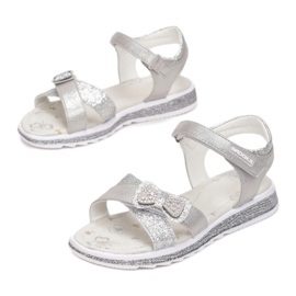 Vices 5SD734-441-gray / silver 1