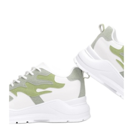 Vices FF-15-61-green multicolored 1