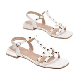 Vices CIC-10-71-white 1