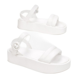 Vices 2257-71-white 1