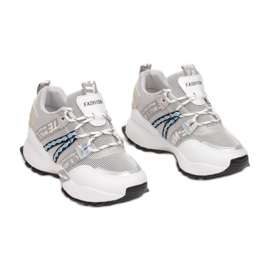 Vices FY-76-39-gray grey multicolored 1