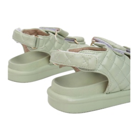 Vices 1088-61-green 1