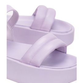 Vices 2257-66-violet 1