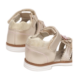 Vices T19-48-60-gold golden 1