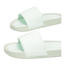 Vices CD209-61-green 1