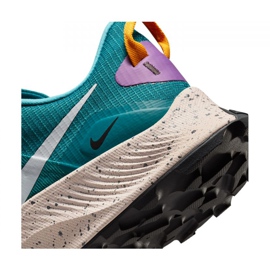 Nike Pegasus Trail 3 M DA8697-300 running shoe blue 1