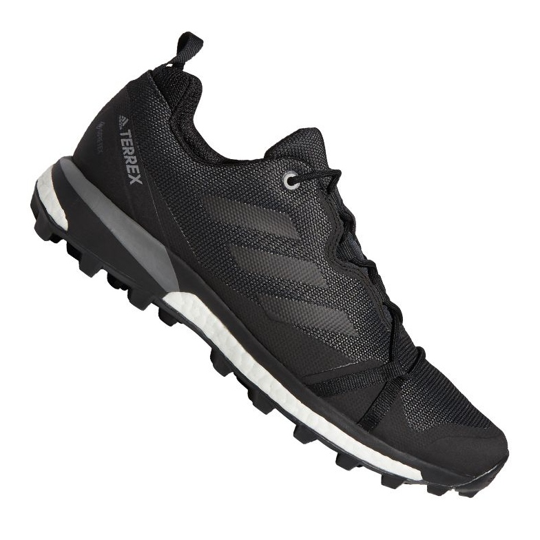Shoes adidas Terrex Skychaser Lt Gtx M F36099 black 1