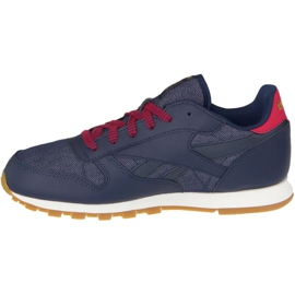 Reebok Classic Leather Dg Jr AR2042 blue 1