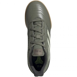 Adidas Predator 19.4 In Jr EF8224 football boots green green 1