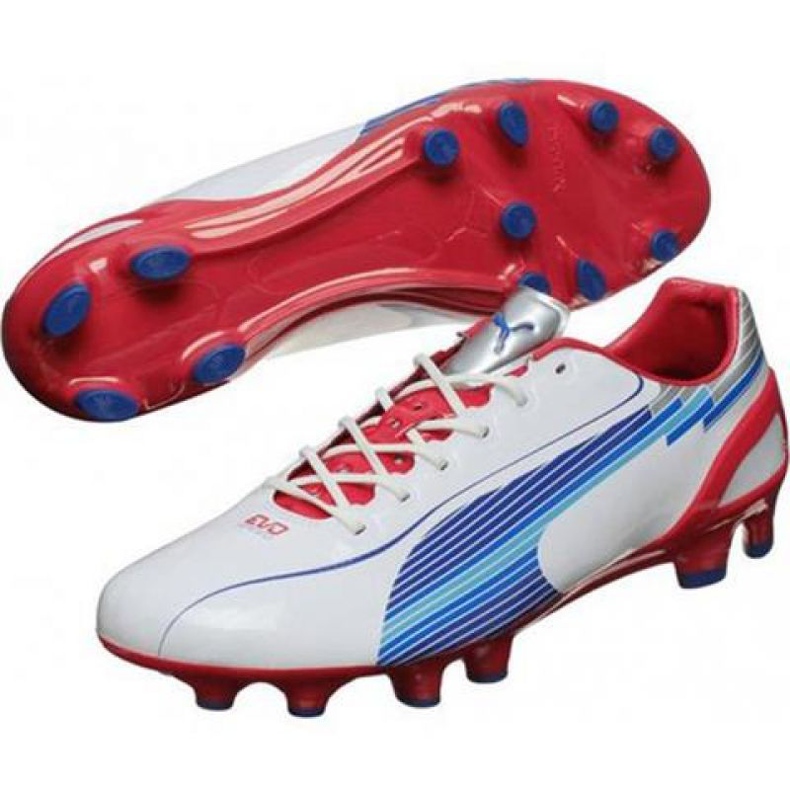 Football boots Puma Evo Speed ​​1 Fg M 102527 01 white white 1