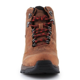 Ariat Berwick Gtx W 10016299 shoes brown 2 Ariat Berwick Gtx W 10016299 shoes brown 2