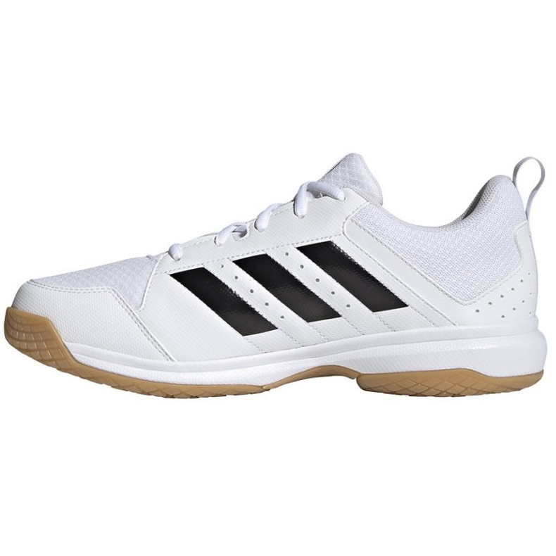 Adidas Ligra 7 M GZ0069 volleyball shoes white white 1