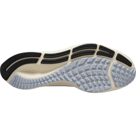 Nike Air Zoom Pegasus 38 Premium W DC8796-400 blue grey 1