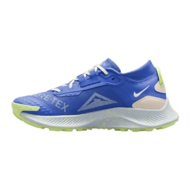 Nike Pegasus Trail 3 GORE-TEX W DC8794-400 shoes blue 1