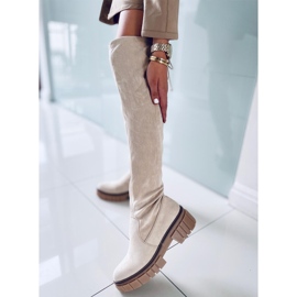 Women's Alyssa Beige boots 2