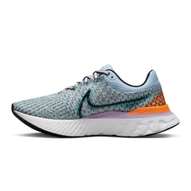 Nike React Infinity Run Flyknit 3 W DD3024-300 shoe blue 1