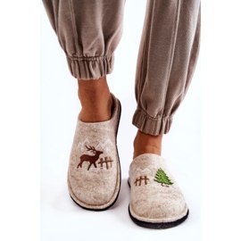 Domestic slippers Big Star KK276016 Beige 2