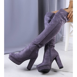 PA1 Gray suede boots on the Titus post grey 1