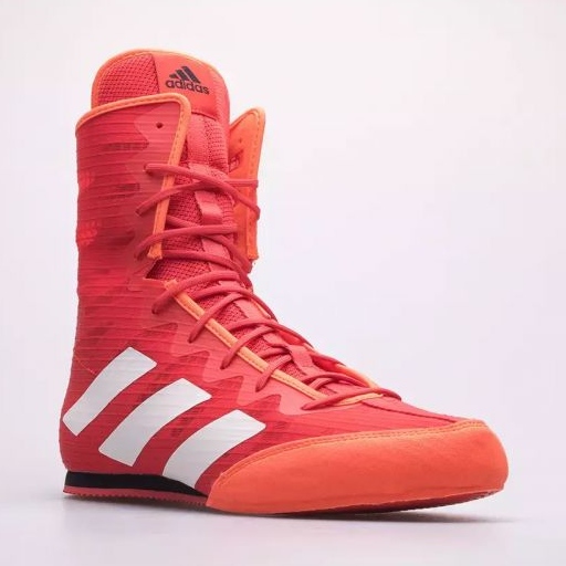 Boxing shoes adidas Box Hog 4 M GW1403 red KeeShoes