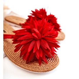 WJ1 Women's flip-flops with a fabric decoration Eviana red 1