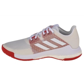 Volleyball shoes adidas CrazyFlight W EF2679 white white 1