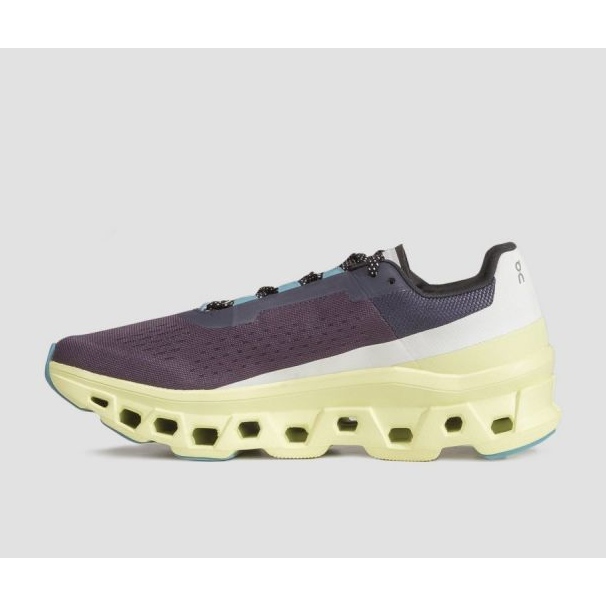 Running shoes On Running Cloudmonster M 6198244 grey 1