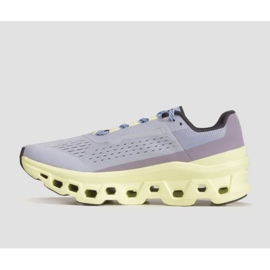 Running shoes On Running Cloudmonster W 6198242 grey 1
