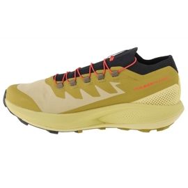 Shoes Salomon Pulsar Trail-Pro M 415936 green 1